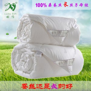 祥怡蠶絲被夏被 空調(diào)被 春秋被冬被子母被雙人被芯200*230 純棉被套 100%桑蠶絲 200*230cm