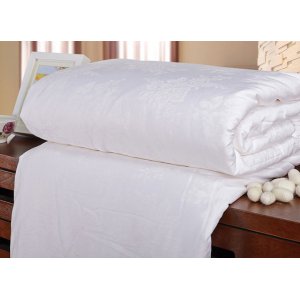 天然蠶絲被 3000克 200×230cm