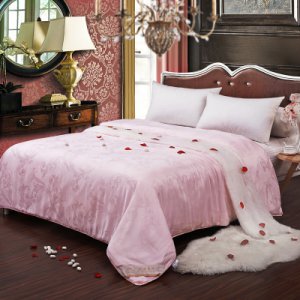 天然蠶絲被 2000克 200×230cm