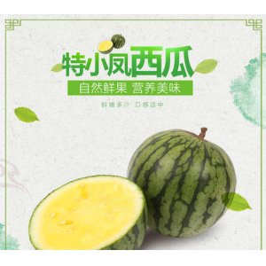 特小鳳西瓜