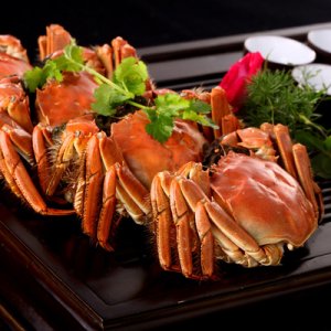 紅膏特大閘蟹鮮活螃蟹全公蟹4.5兩 8只