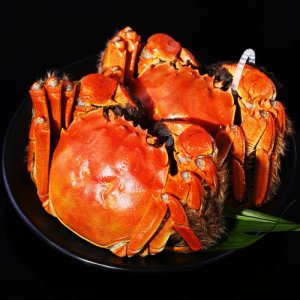 大閘蟹現(xiàn)貨 鮮活螃蟹公4兩 母3兩 10只禮盒裝