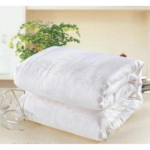 1000克 100%桑蠶絲夏涼被秋冬被