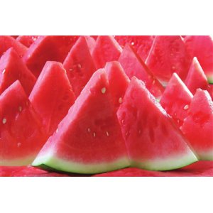 早春紅玉西瓜