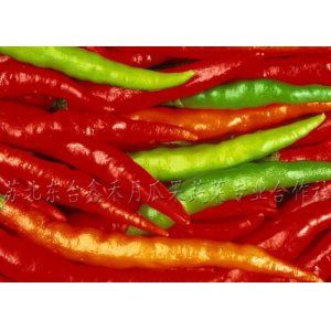 紅椒